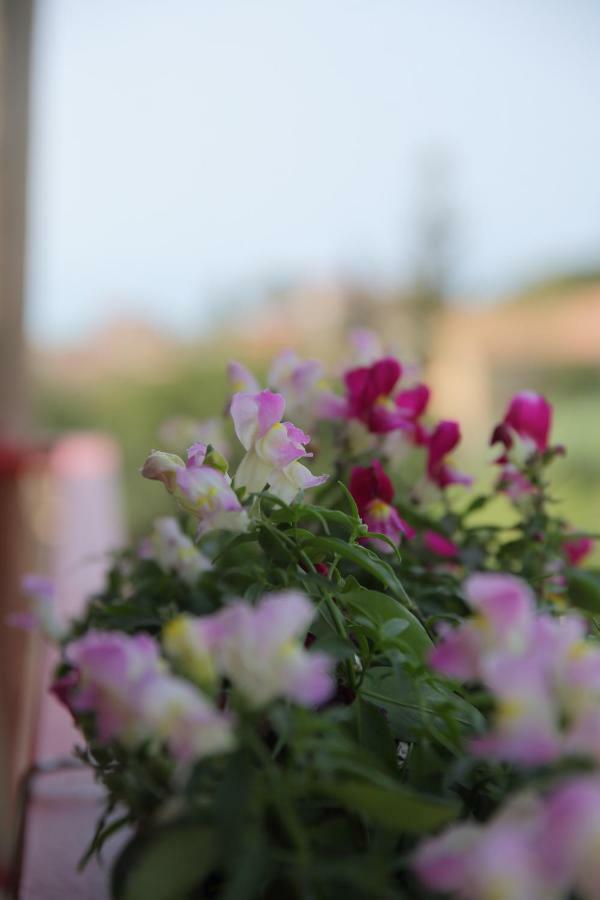 Lo Scoglio Della Sirena Appartement Agrigento Buitenkant foto